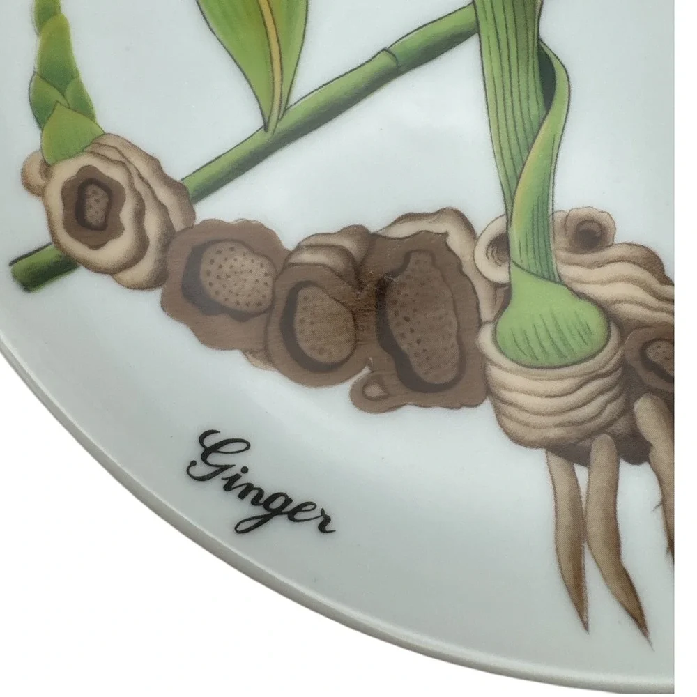 6 NEIMAN MARCUS HORCHOW BOTANICAL FLOWER HERB PLATES DESSERT SALAD